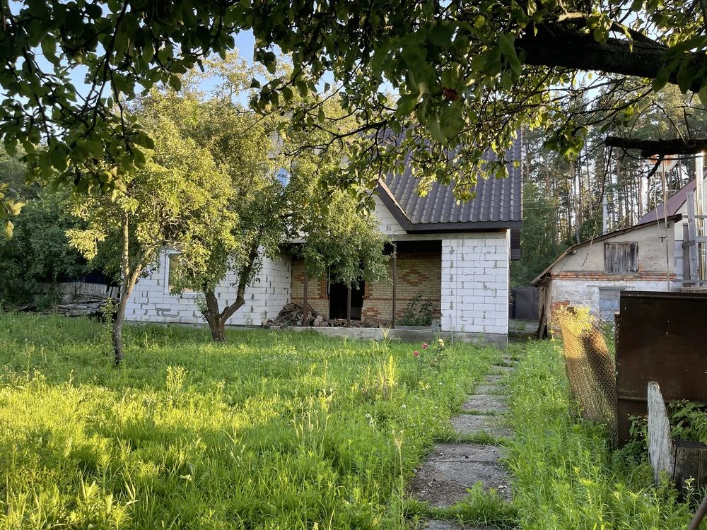 Власний куточок спокою біля лісу