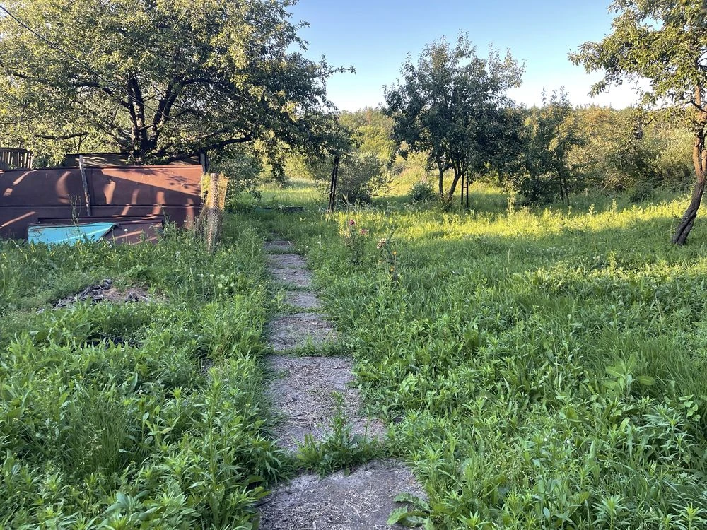 Власний куточок спокою біля лісу