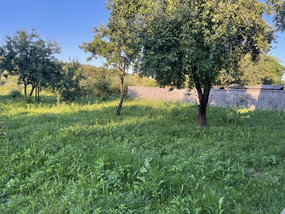 Власний куточок спокою біля лісу