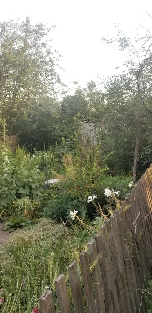 Жековский дом в городе Радомышль