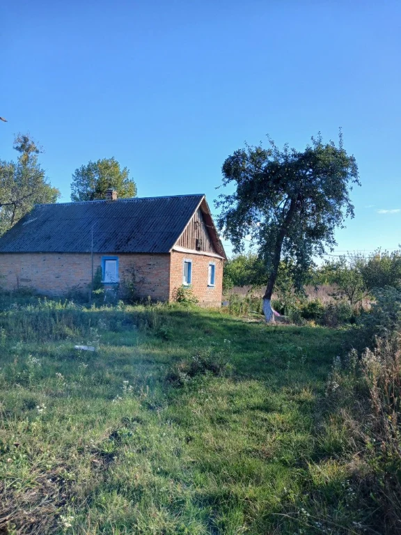 Будинок в с.Великі Коровинці