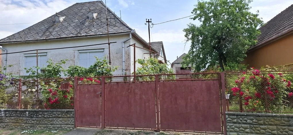 с.Яноші від Берегова 1 км будинок 4кімн