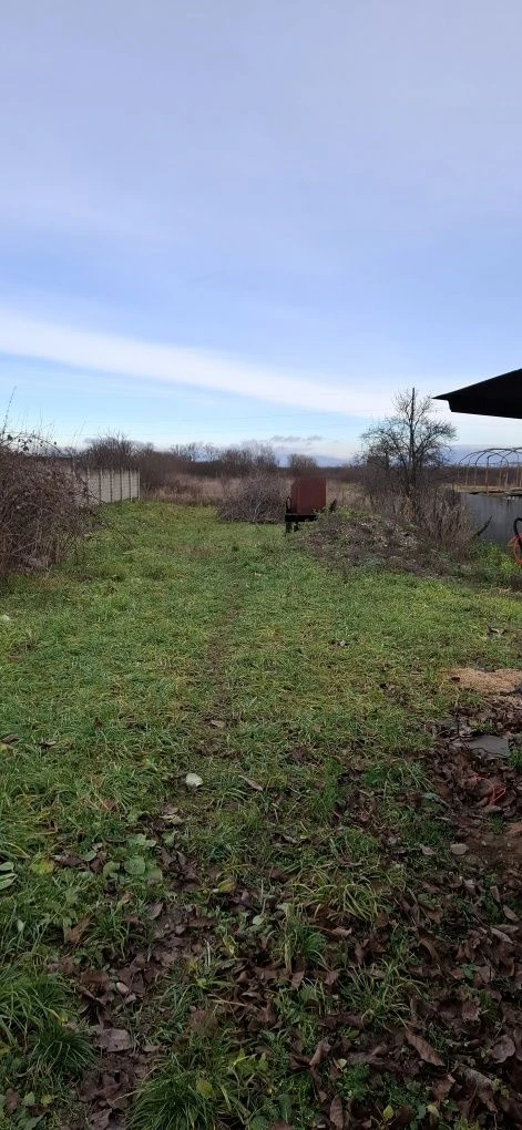 Land plot .Beregovo 25 acres.