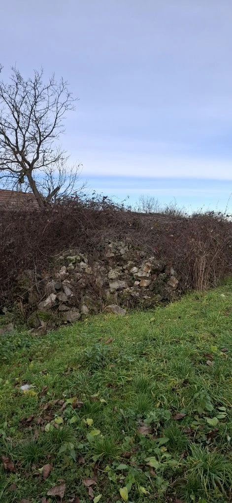Land plot .Beregovo 25 acres.