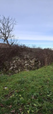 Land plot .Beregovo 25 acres.