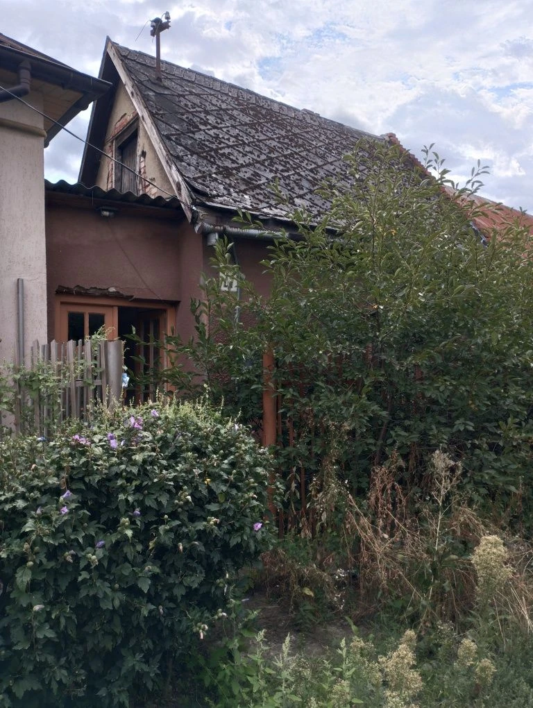 Продам дом Закарпатье Берегово