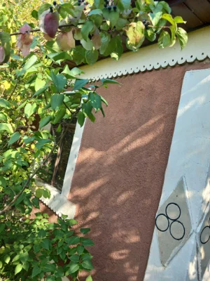 Дача біля термального басейну в Берегові з садовою ділянкою