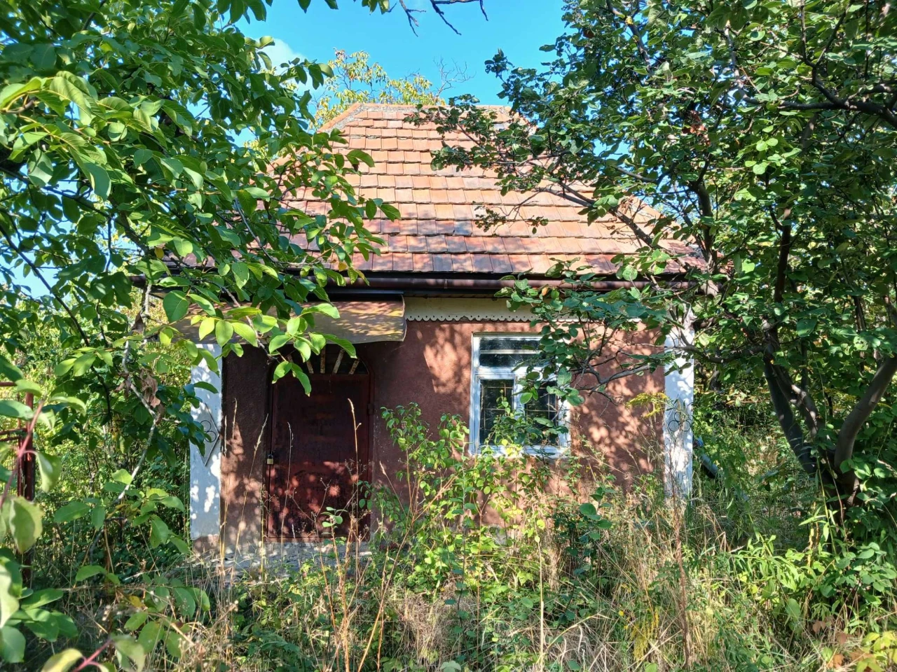 Дача біля термального басейну в Берегові з садовою ділянкою