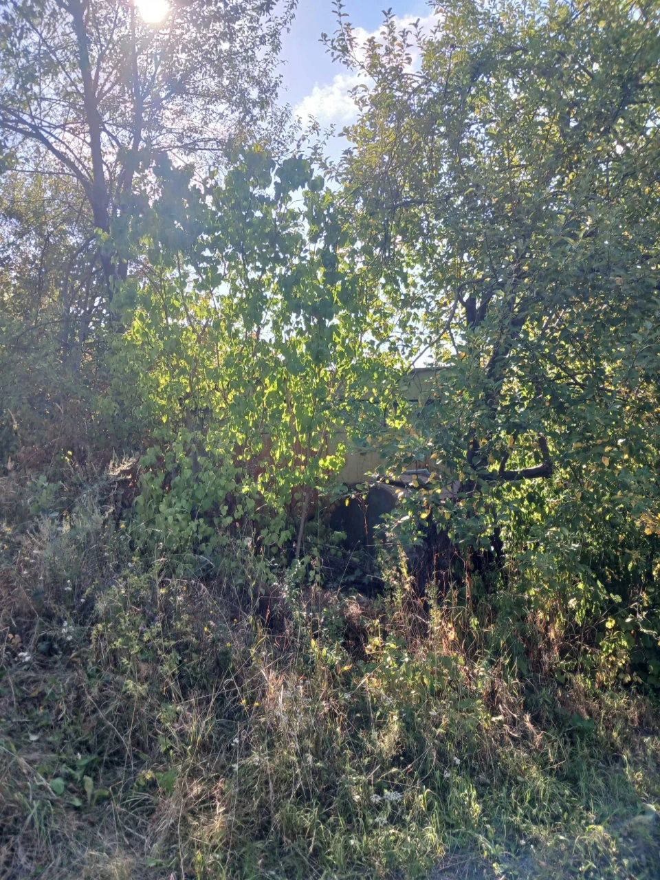 Дача біля термального басейну в Берегові з садовою ділянкою