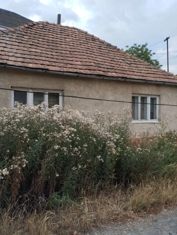 Продам дом Закарпатье Берегово