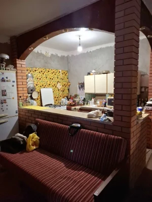 Берегове будинок 70кв.м, жилий, після ремонту. ТОРГ.