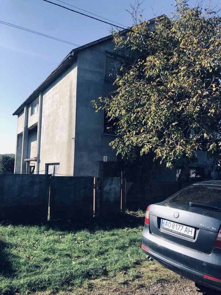 Продам будинок 230 м², 50 соток, біля термалів Берегове