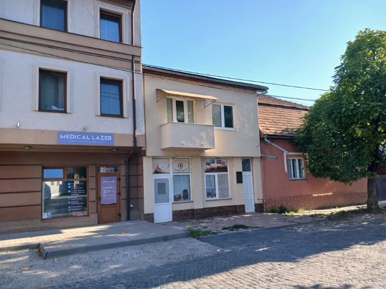 Будинок під БІЗНЕС чи житло в центрі Берегова, 1,2 км від те