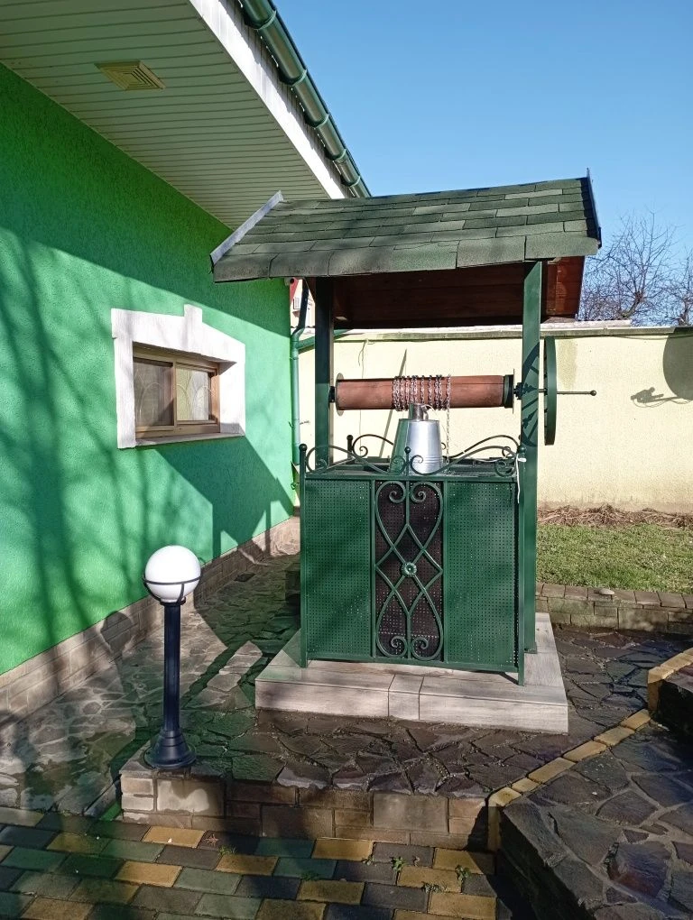 Дім 200 м2 ділянка 12 сотин Берегово Виноградна 153