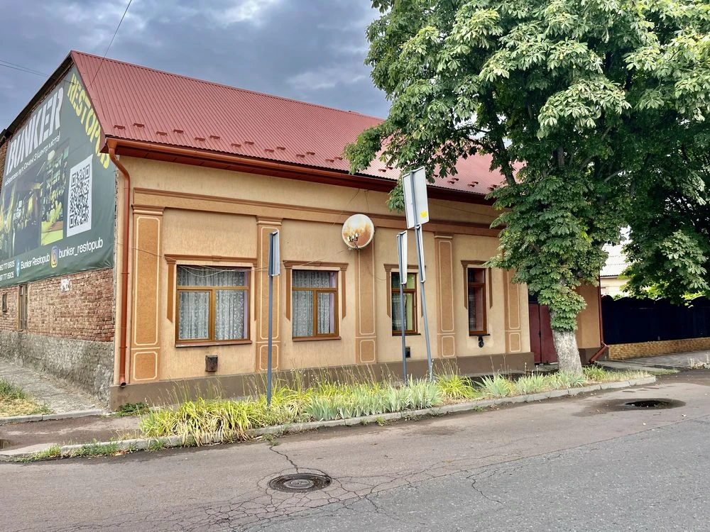 Продам будинок Берегово вул. Богдана Хмельницького 84