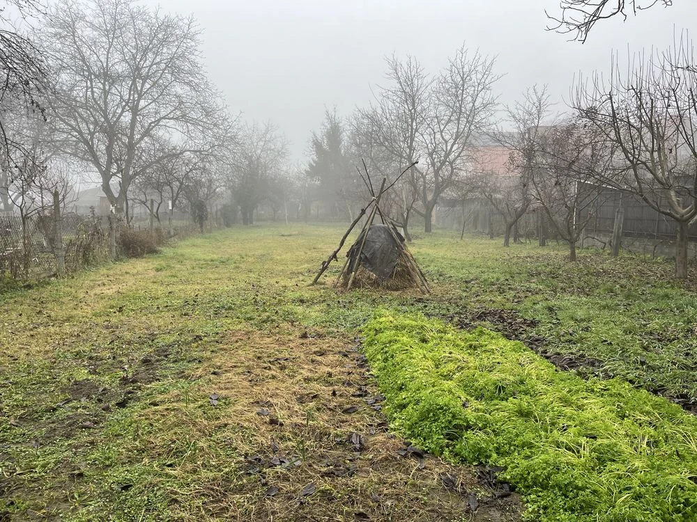 Дім 108 м2, приват ділянка 18 сотин, Берегово вул. Кініжі 48