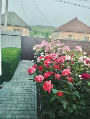 Продам приватну садибу біля термальних басейнів