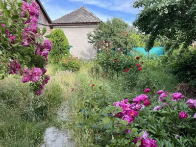 Продам будинок 56 м2 ділянка 3,5 сотки Берегово вул. Новий б
