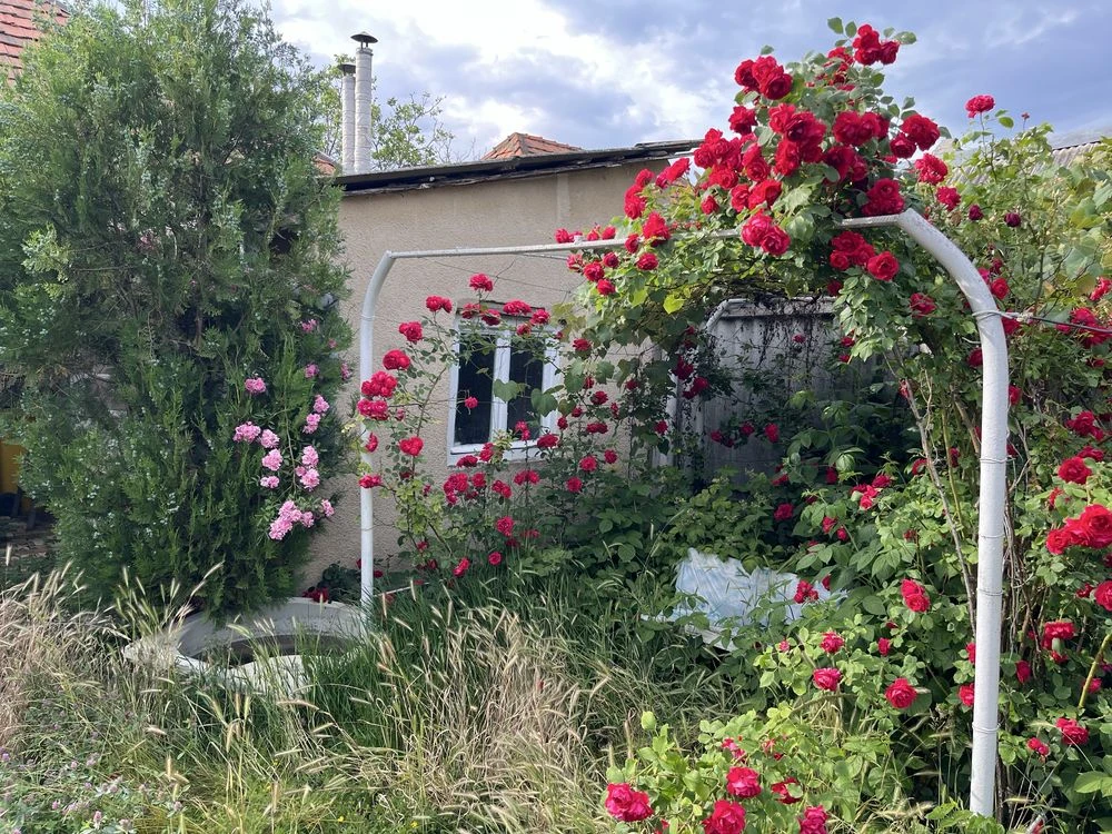 Продам будинок 56 м2 ділянка 3,5 сотки Берегово вул. Новий б