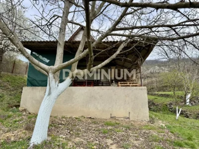 Сертифікат.Продається будинок біля замку у Виноградові.23 с.