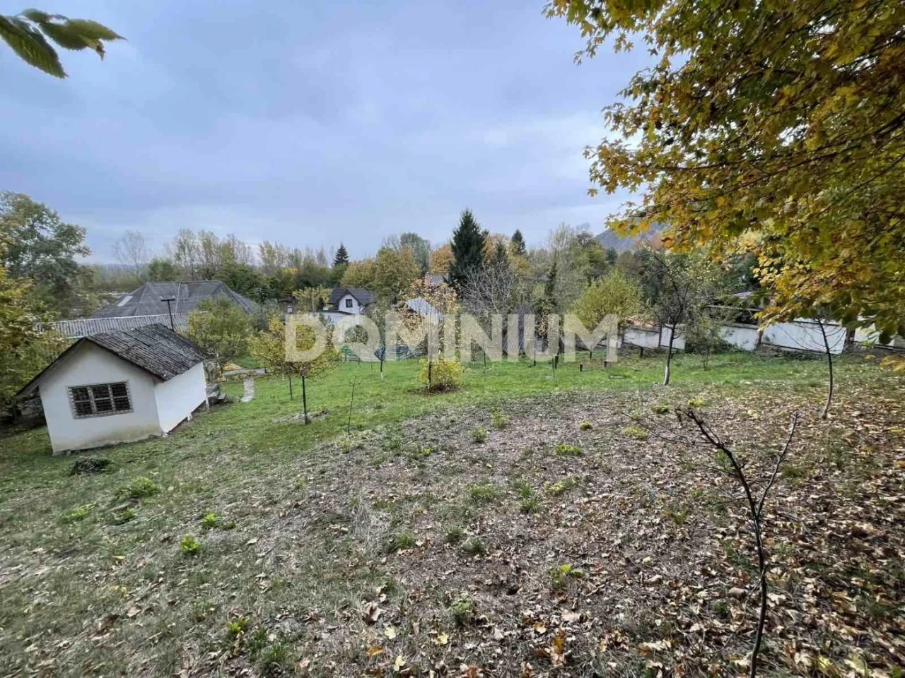 Продається будинок в м. Виноградів,з комерційним потенціалом