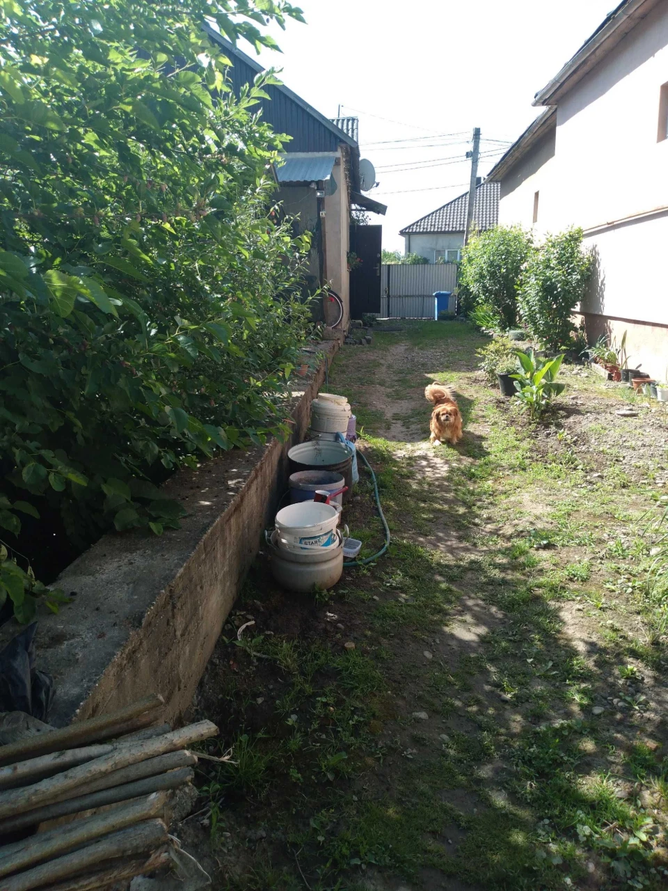 Продаж будинку м.Виноградів Закарпатська обл