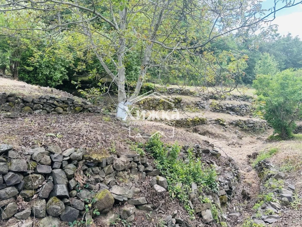 Продається зона відпочинку на ЗАМКОВІЙ ГОРІ у м. Виноградів