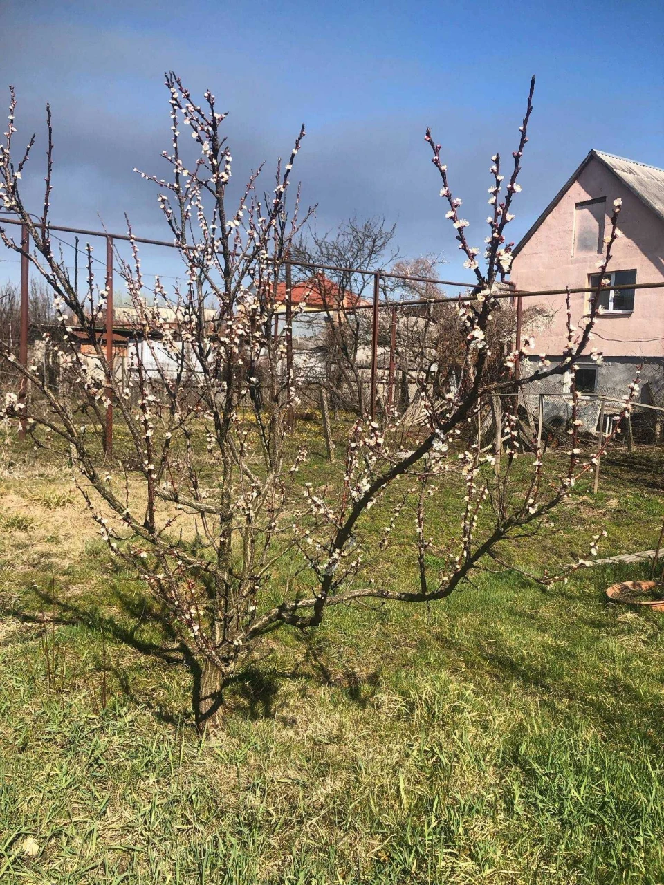 Будинок в м. Виноградів, Закарпатська область