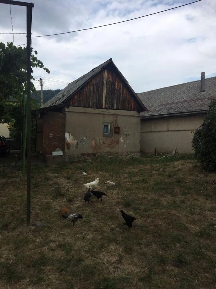 House in Ardanovo, 70 acres of land, garden.