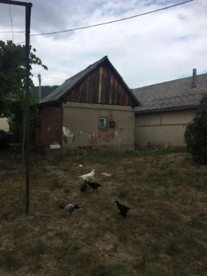 House in Ardanovo, 70 acres of land, garden.