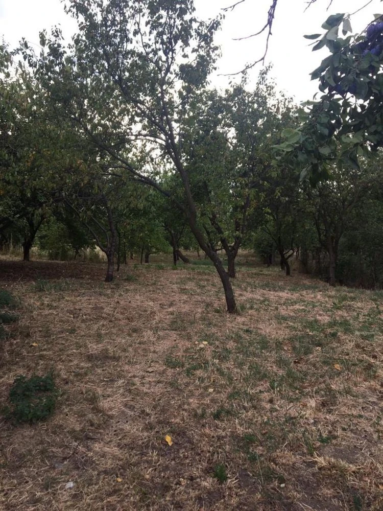 House in Ardanovo, 70 acres of land, garden.