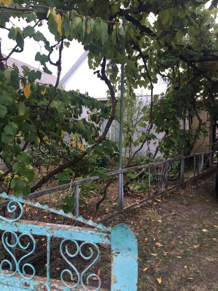 House in Ardanovo, 70 acres of land, garden.