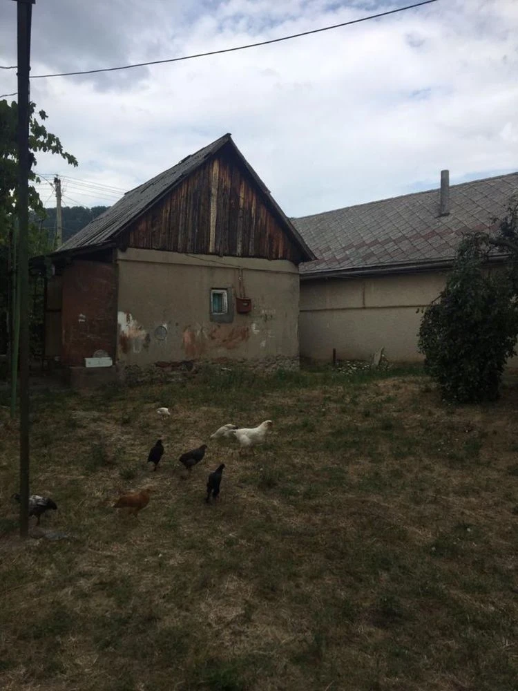 House in Ardanovo, 70 acres of land, garden.