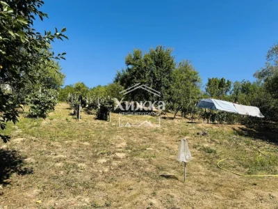 House for sale in the city of Irshava