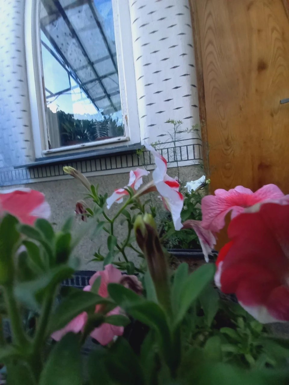 Продам власний   будинок