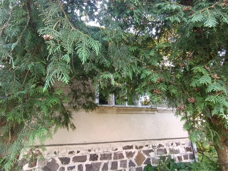 Продаж Будинку  9км