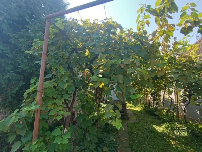 Продаж Будинку  9км