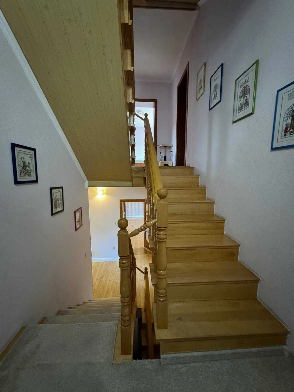House for sale, enough space for everyone