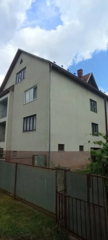Продам великий  будинок Свалява