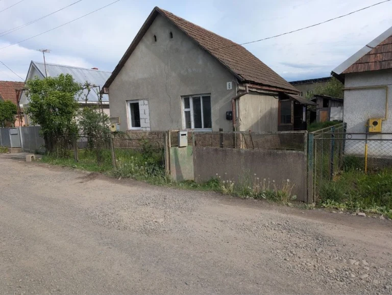 Будинок м. Свалява