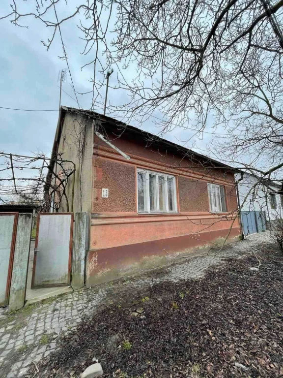 Продається будинок в м. Тячів