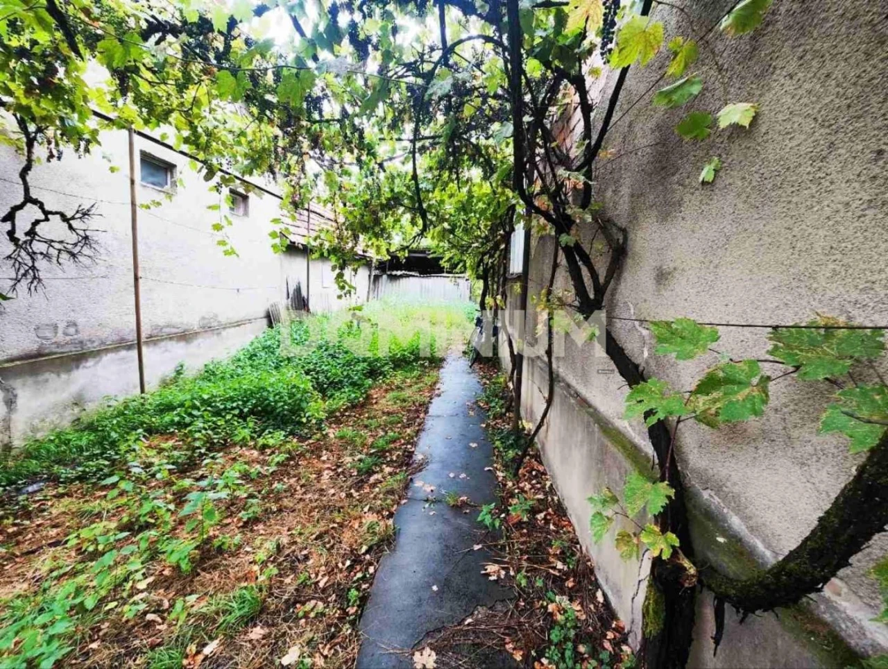 Продається недорогий будинок у м. Тячів