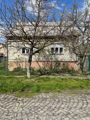 Продається будинок в м. Тячів