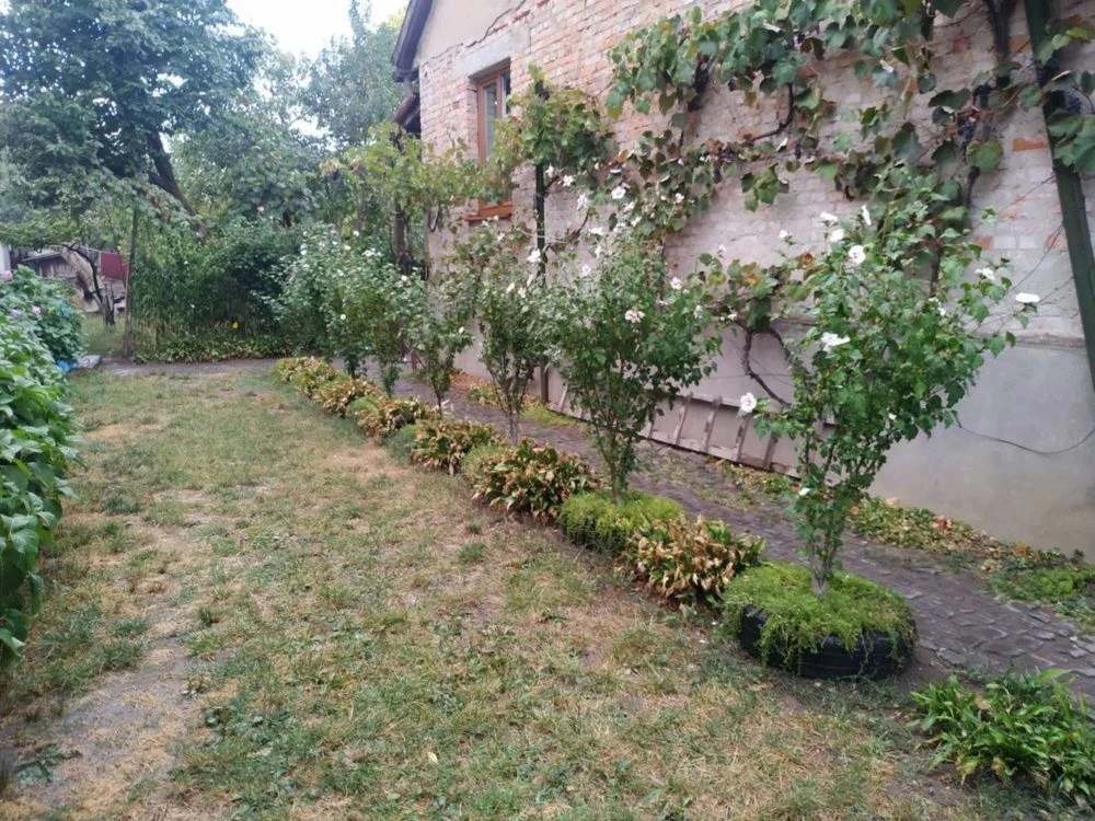 Продаж будинку в Хусті