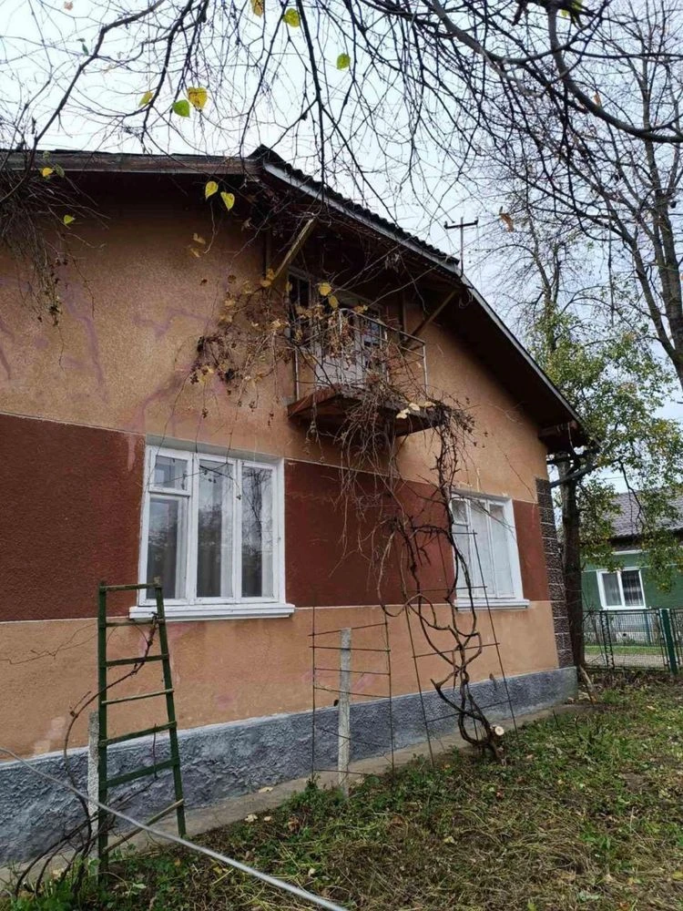 Великий будинок з ділянкою Галич