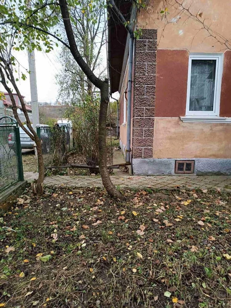Великий будинок з ділянкою Галич