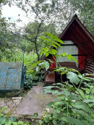 Великий будинок з ділянкою Галич