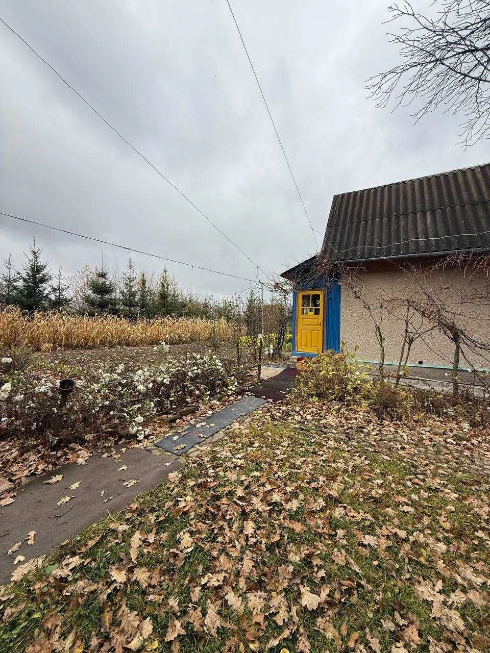 Продаж дачного будинку в лісі