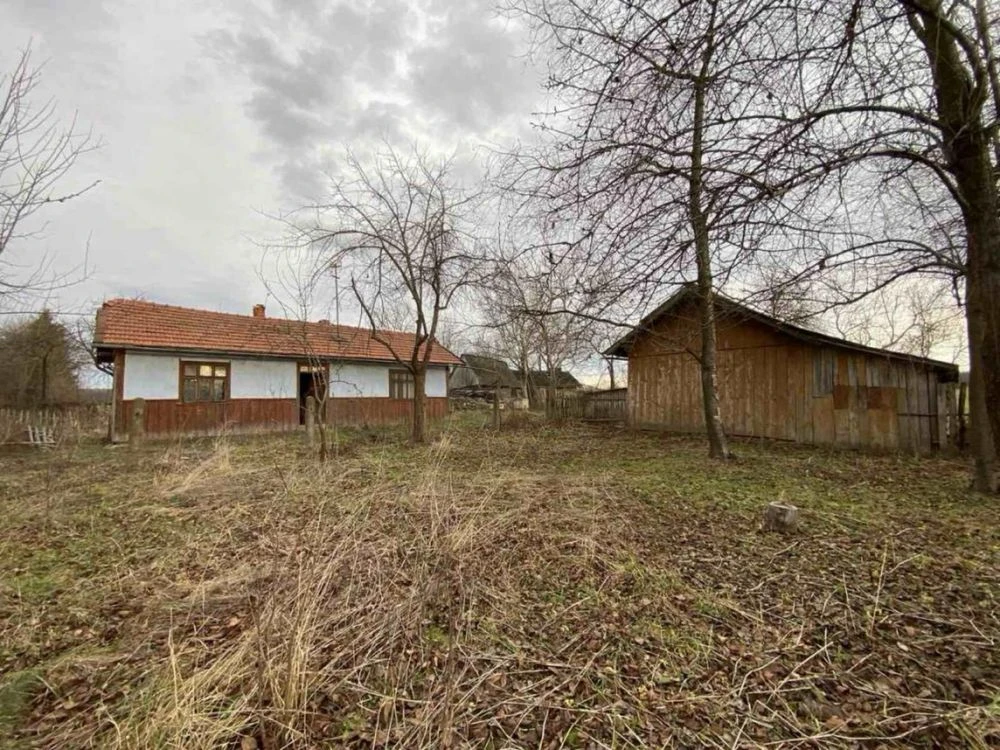 Продам будинок в с.Велика Камянка