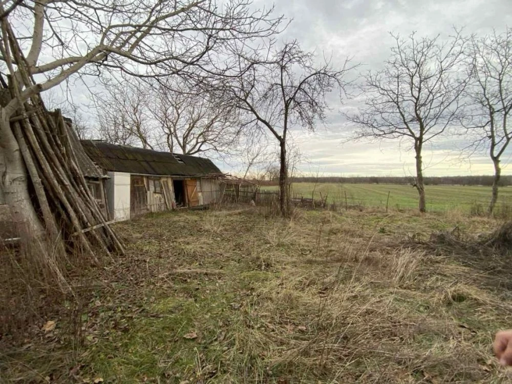 Продам будинок в с.Велика Камянка